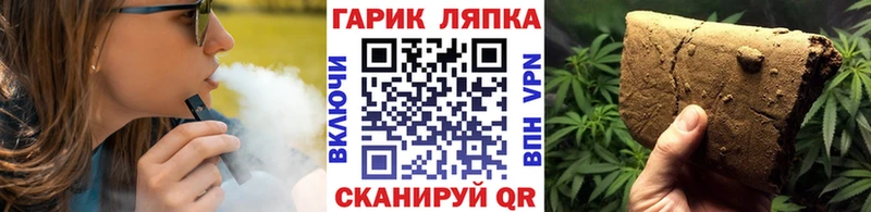 ГАШ hashish  MEGA ТОР  Тырныауз 