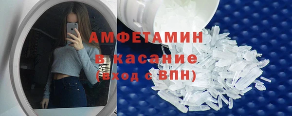 гашик Алексин