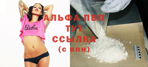 гашик Алексин