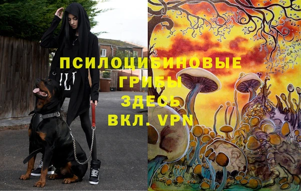 mix Няндома