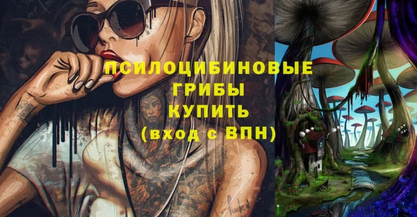 mix Няндома